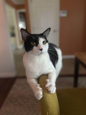 Fetch! Pet Care - Austin