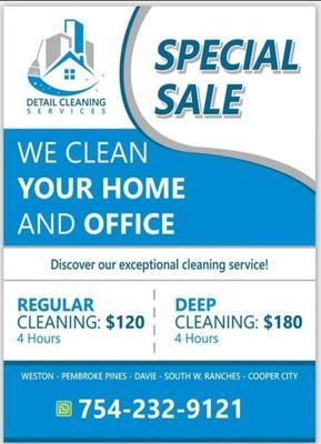 Detail Cleaning Service