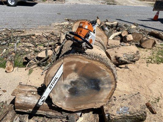 Arbor Care Tree Service