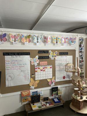 Little Shepherd Day School