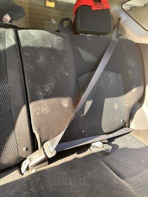 Cat prints and hair all around the vehicle. But besides the point, this is not how one should expect to get their vehicle back.