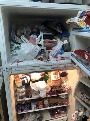 New Horizon Cleaning Service