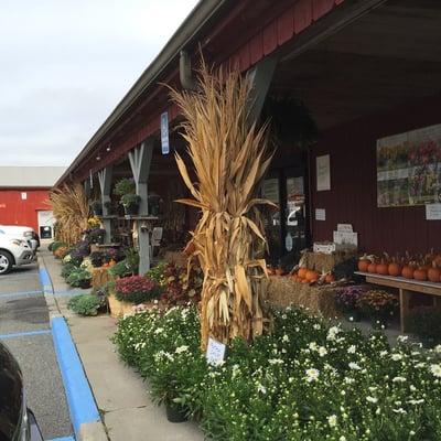 Agway Country Gardens - Autumn