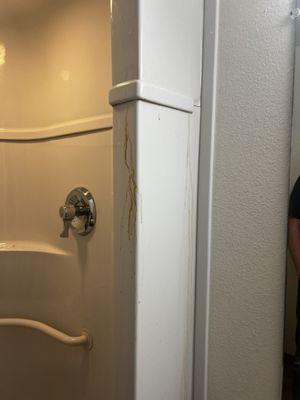 More filth on shower