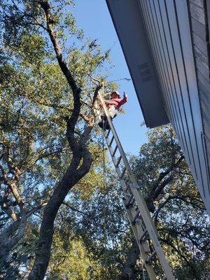J&S Tree Service