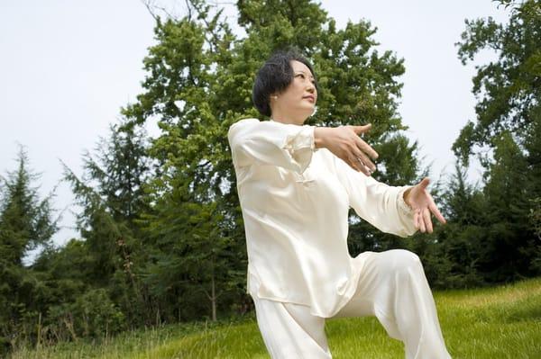 The Tai Chi School