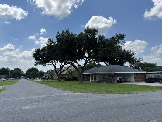 Cypress Land Management