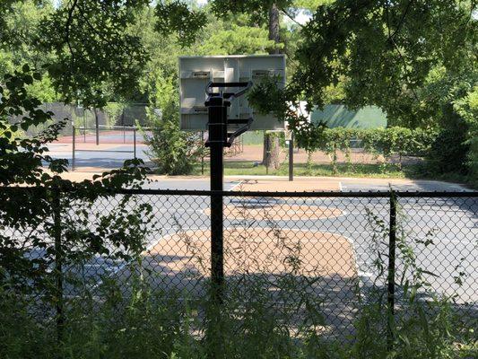 Basketball and tennis