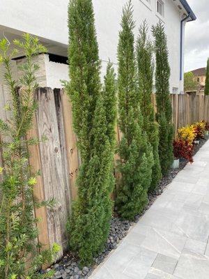 Viveros landscaping