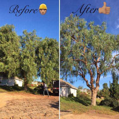 Gonzalez Landscape & Tree Service