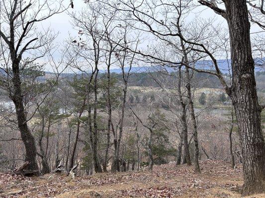 Red Tail Ridge Trail view
