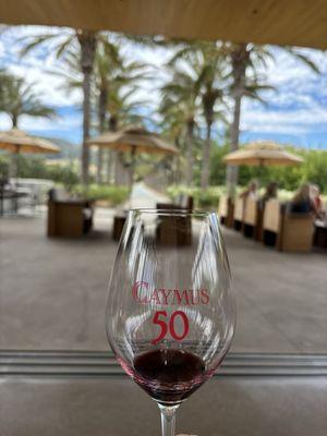 Caymus Suisun Winery