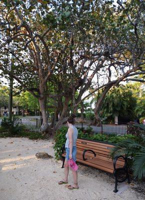 Lamar Louise curry Park