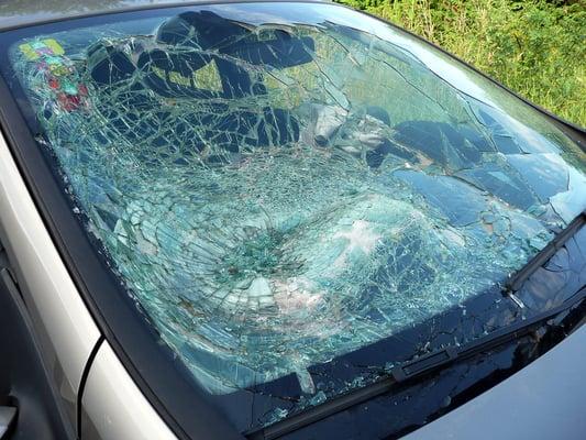 Accurate Auto Glass of America