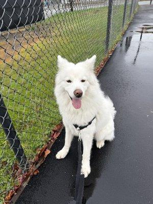 Hill Crest Knolls Park