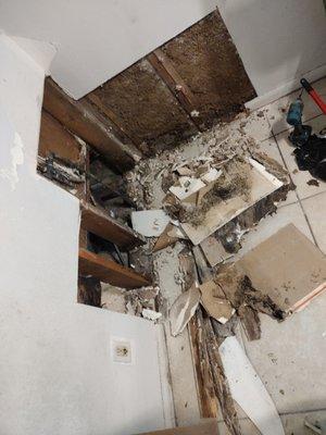 Ryan's Handyman& Cleaning Services