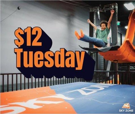 Sky Zone Trampoline Park