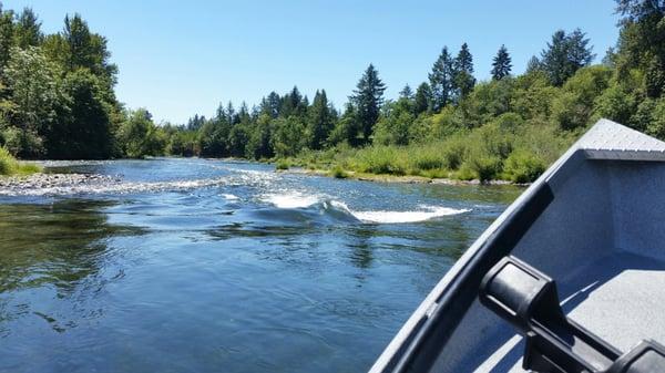 Fins and Scales Guide Service