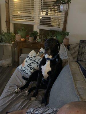 Raccoon Valley Animal Hospital