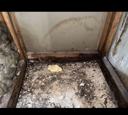 American Building Inspectors