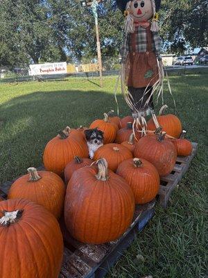 Emmanuel United Methodist Church