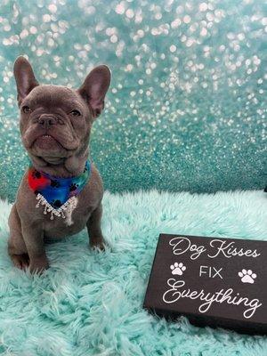 Loving My Paws by Iris