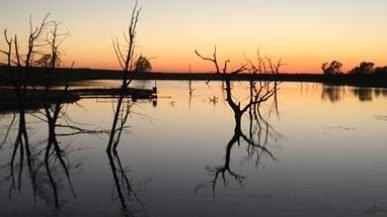 Cotton Mesa Whitetail Ranch
