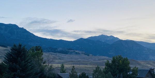 Silverback Transportation