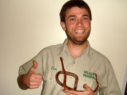 Pest Animal Removal Orange County