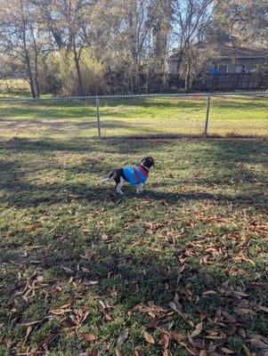Looking at a squirrel on the path