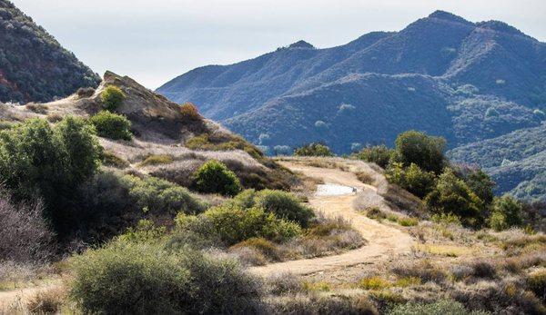 Braren Psychospiritual