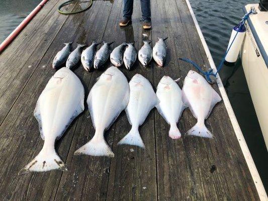 Alaskan OutCast Adventures