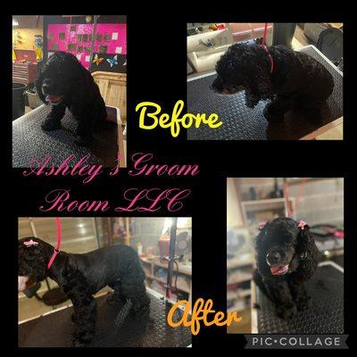 Ashley’s Groom Room