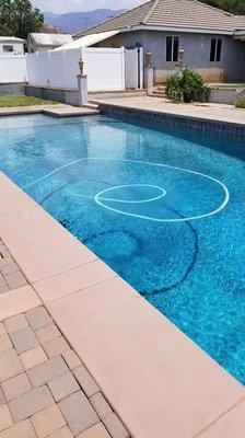 Mustard algi problem solved