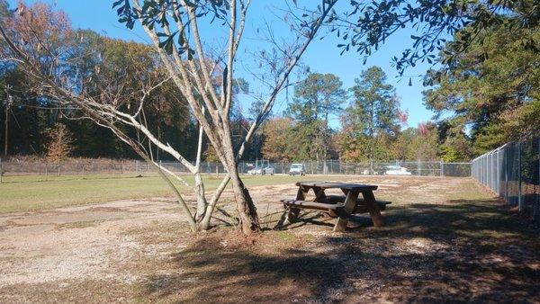 Proof there is one picnic table