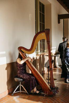 Alaina Stark - Harpist