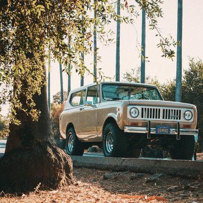 Traditional Auto Craft