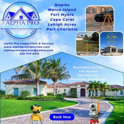 Alpha Pro Inspections & Surveys