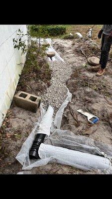 Beachside Luxury Landscaping