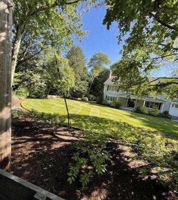 Neighborhood Garden Solutions