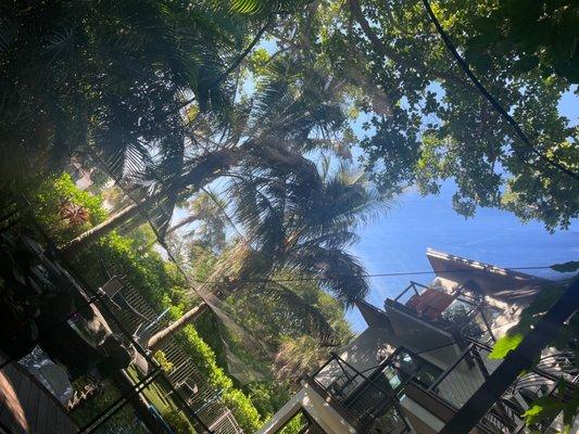 Banyan Tree Beach House Anna Maria Island