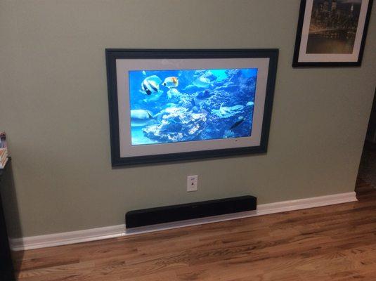 Turn your TV into an aquarium with 4K underwater video