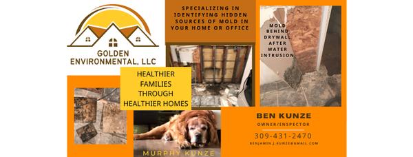 Golden Environmental