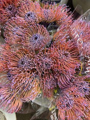 Mayesh Wholesale Florist