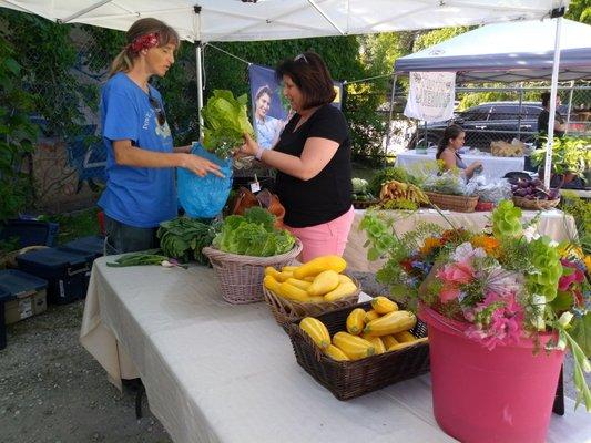 Find them at the Arts District Farmers Market on Wednesdays from 4-7pm!