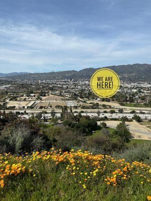 View from Griffith Park!