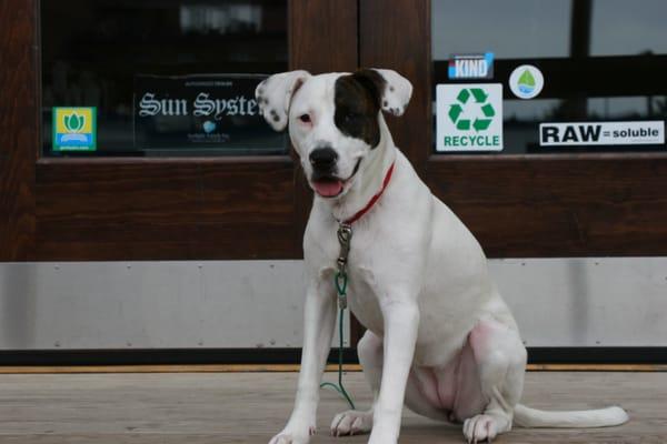 Our fur baby, Mia wants you to garden responsibly