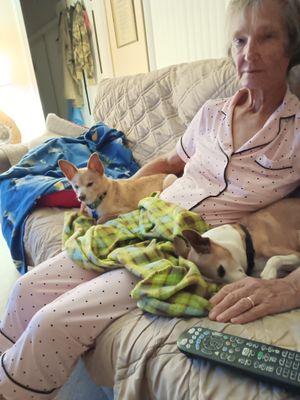 Citrus County Animal Shelter