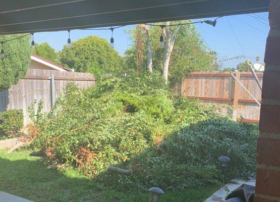 Javier Espinoza Landscaping