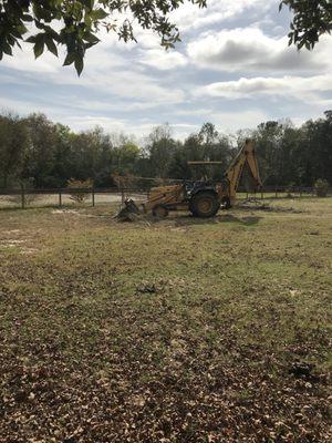 CSRA Landscape And Tree